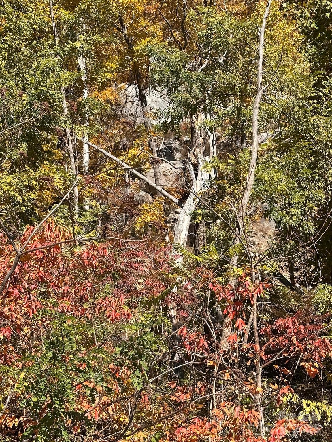 Lot at 000 Cascada Vista Drive, Chimney Rock, photo 2 of 4