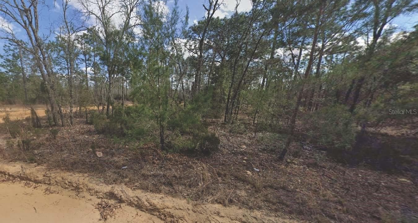 133 LAKE LUCY CT