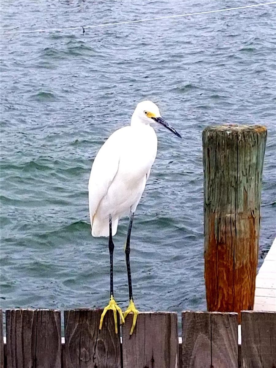 No worries. - 6000 2ND ST E #6, ST PETE BEACH