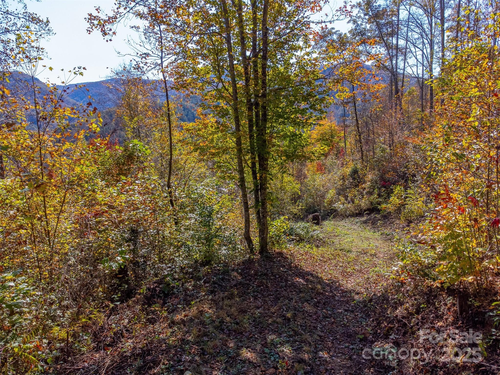 Industrial at Sylva, photo 17 of 36