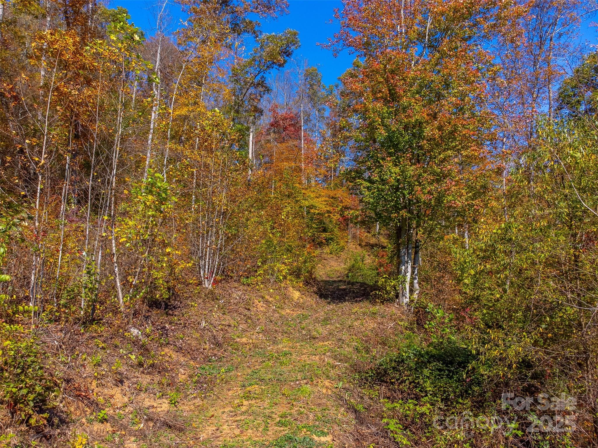Industrial at Sylva, photo 24 of 36