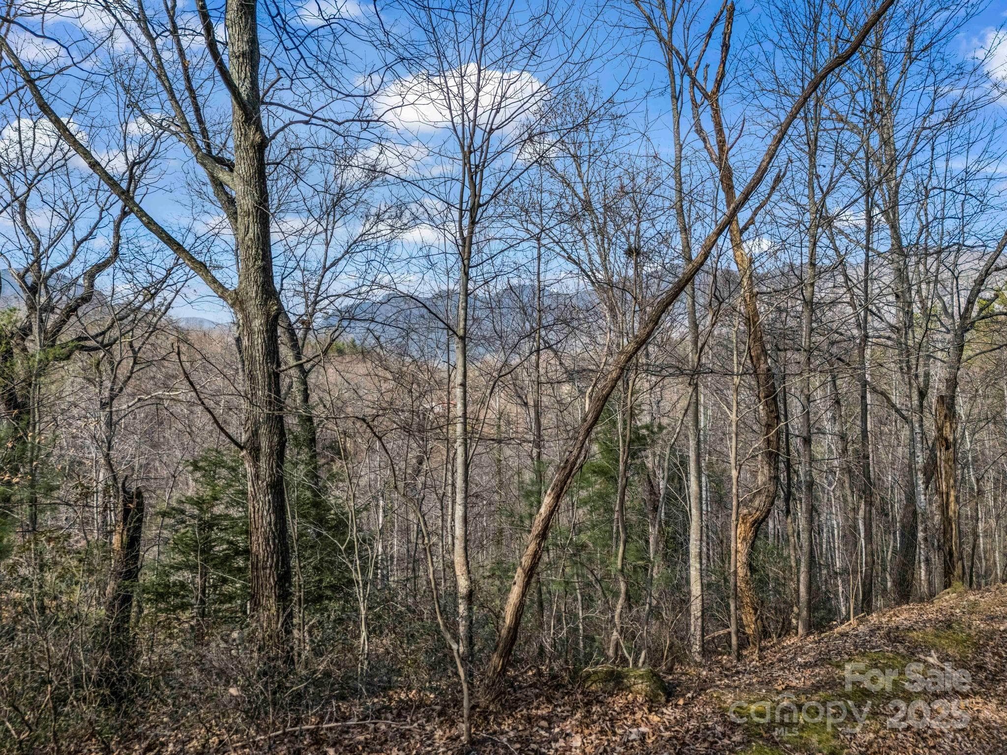 Lot at 0000 Holmes Road, Lake Lure, photo 19 of 31