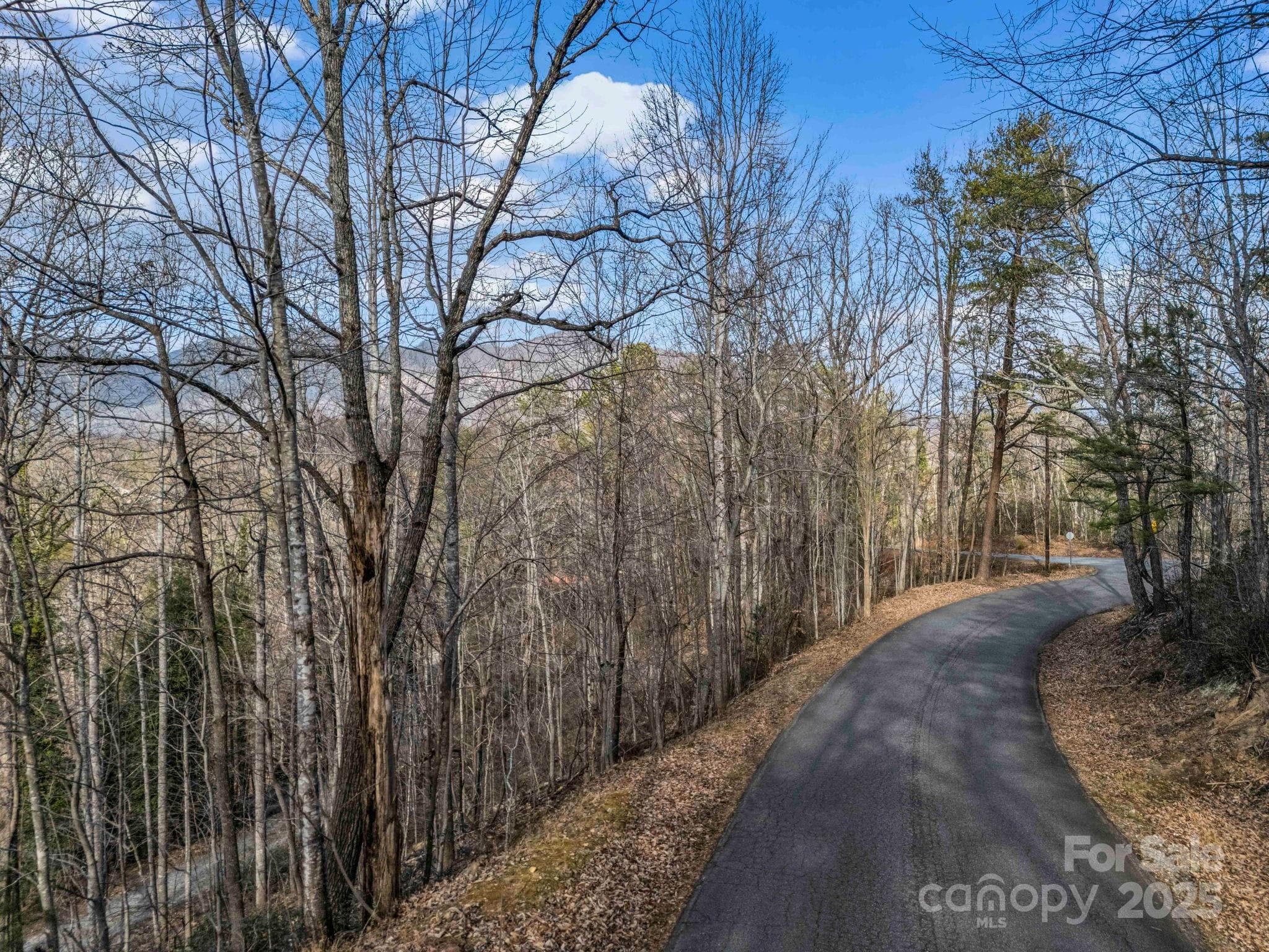 Lot at 0000 Holmes Road, Lake Lure, photo 21 of 31