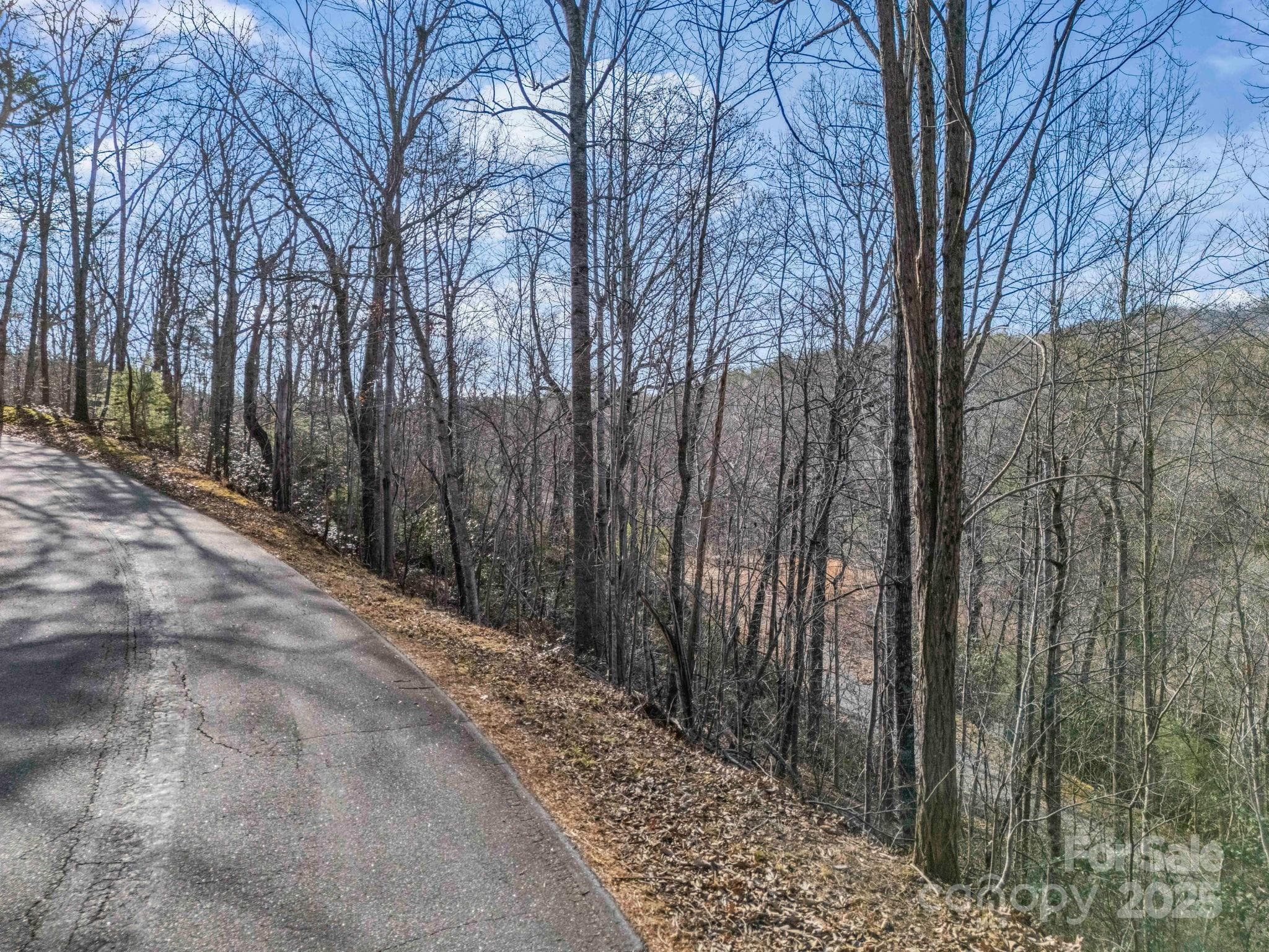 Lot at 0000 Holmes Road, Lake Lure, photo 24 of 31