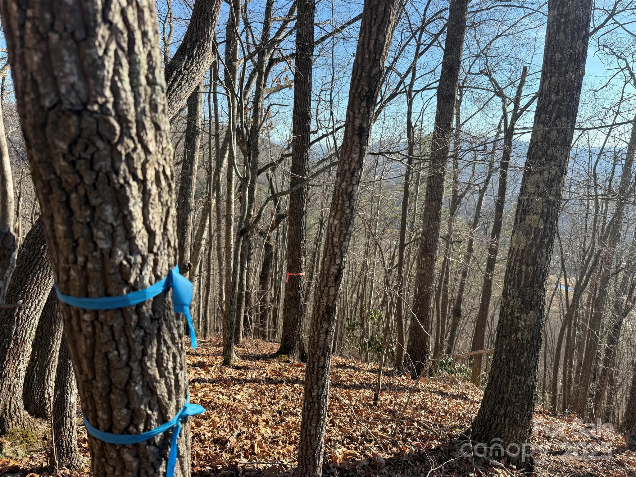 Lot at Waynesville, photo 2 of 17