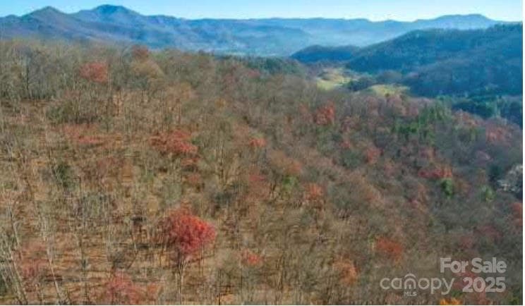 Lot at Waynesville, photo 3 of 17