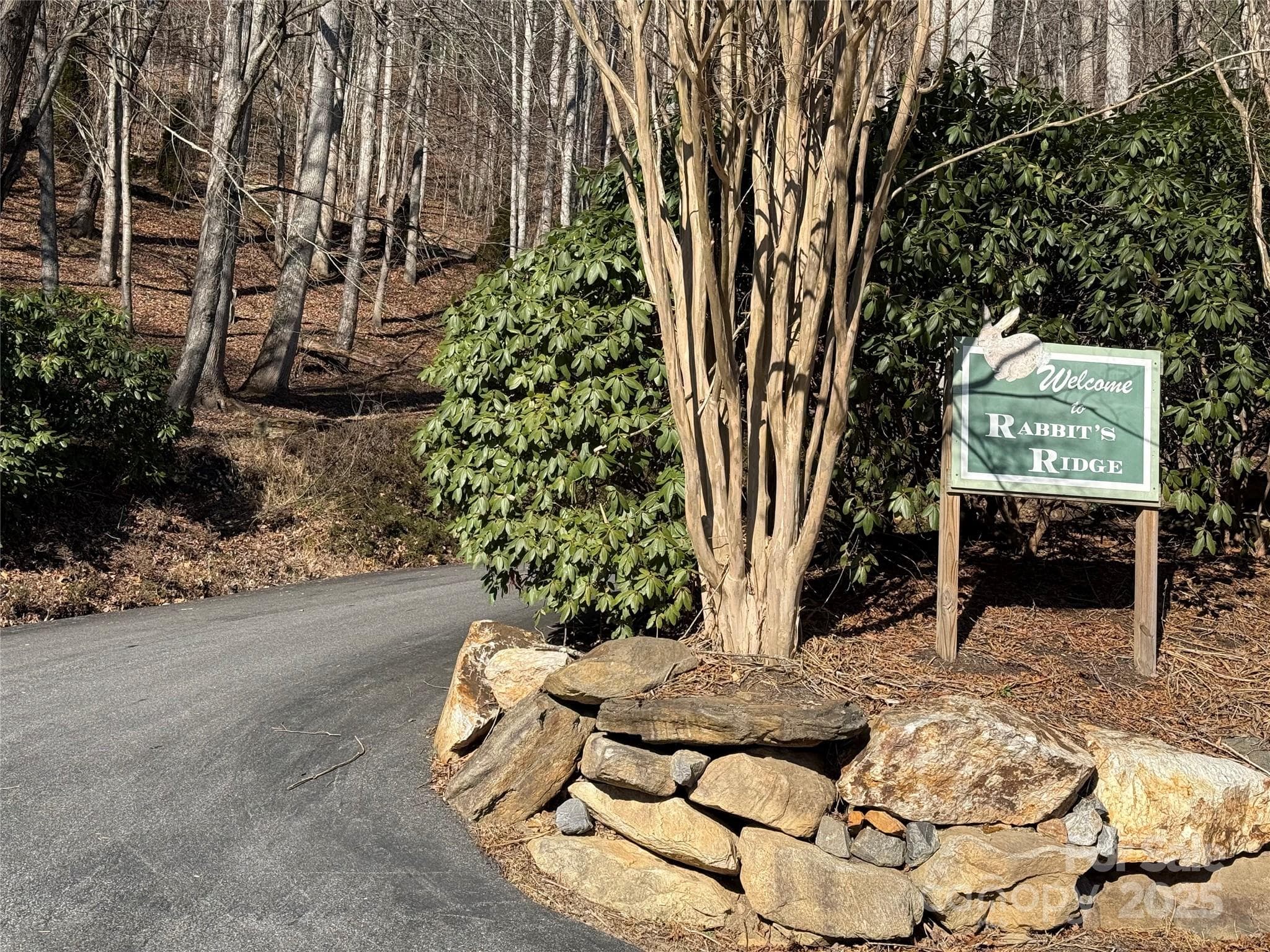 Lot at Waynesville, photo 8 of 17