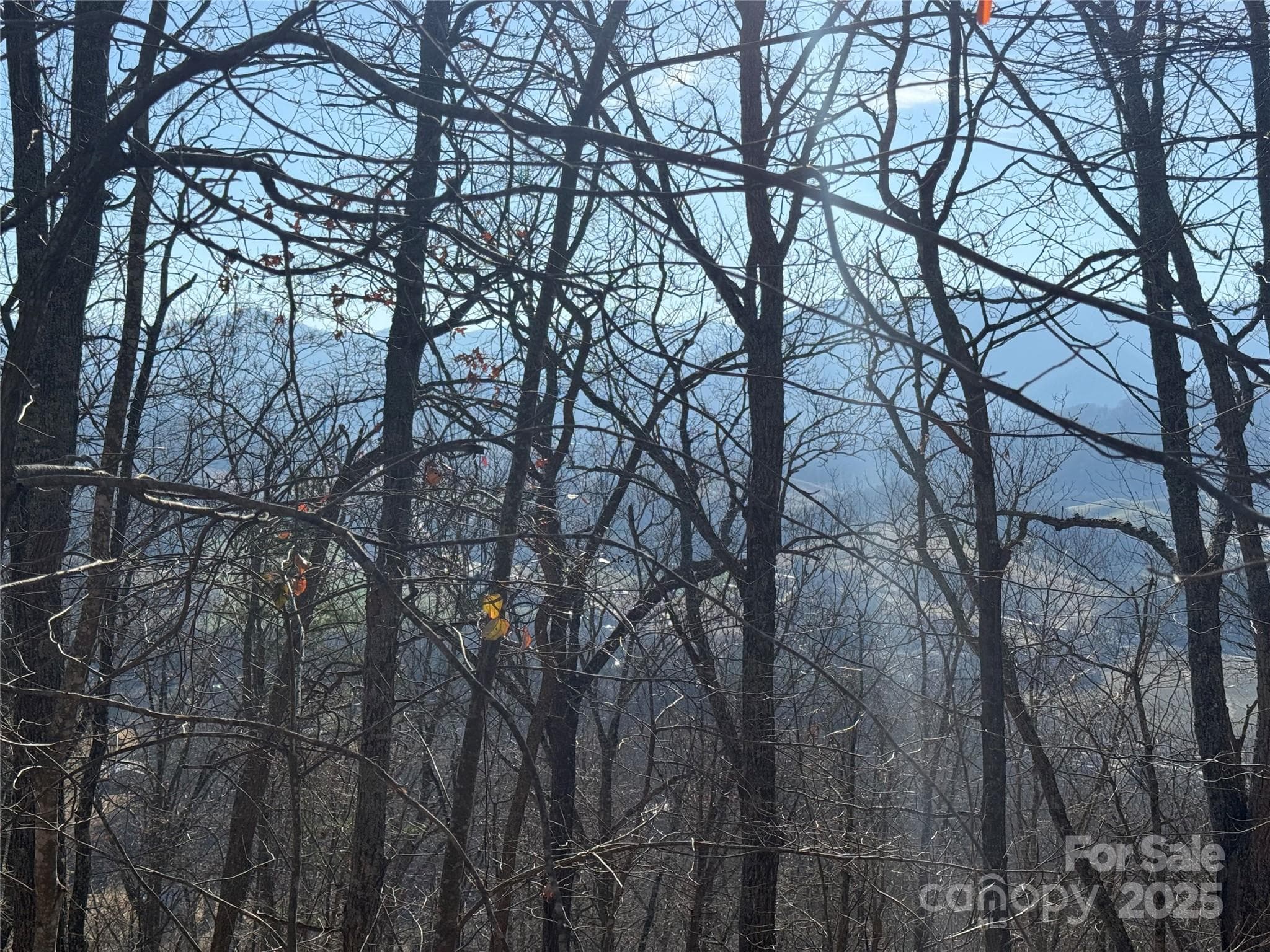 Lot at Waynesville, photo 16 of 17
