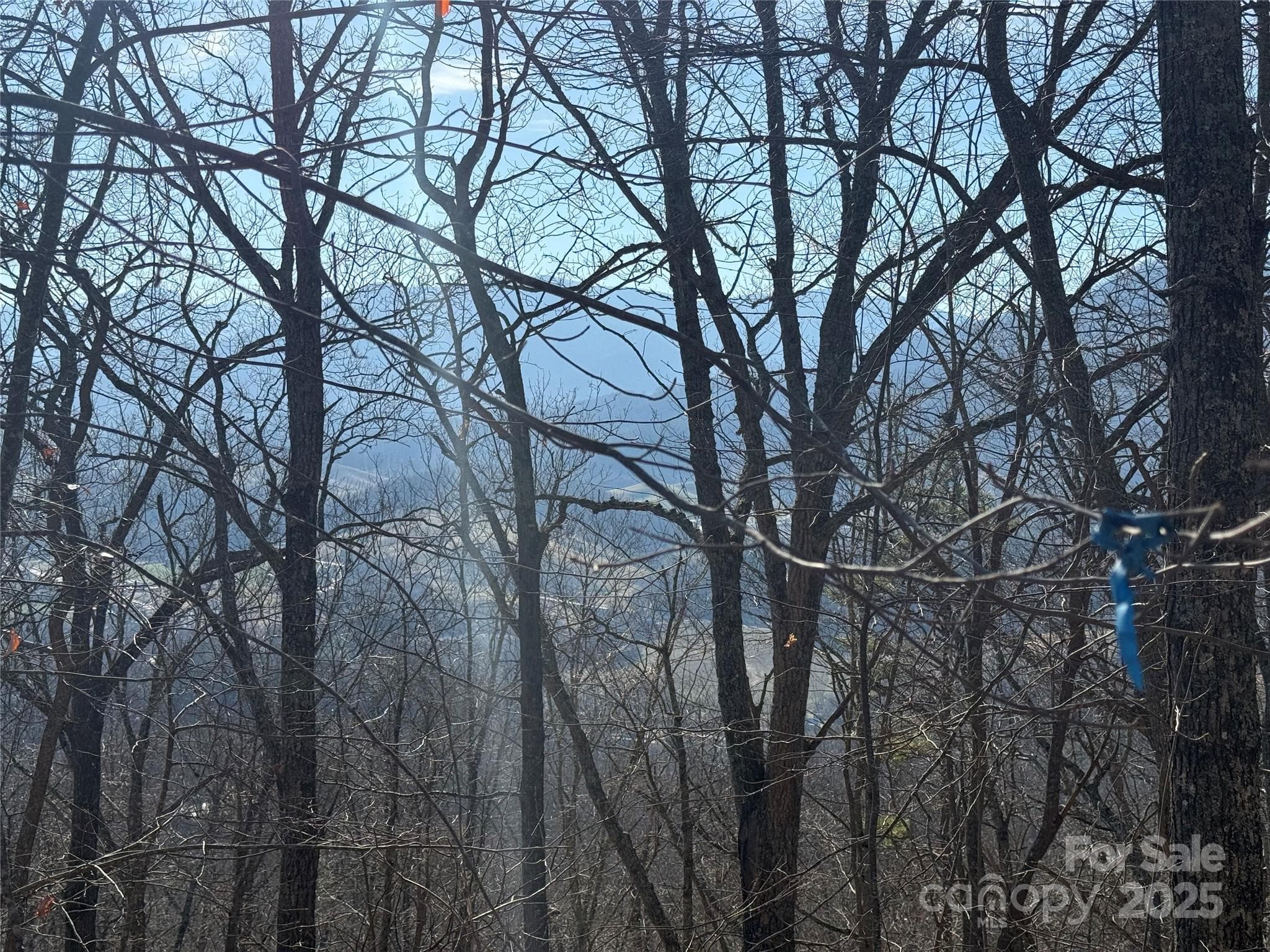 Lot at Waynesville, photo 17 of 17