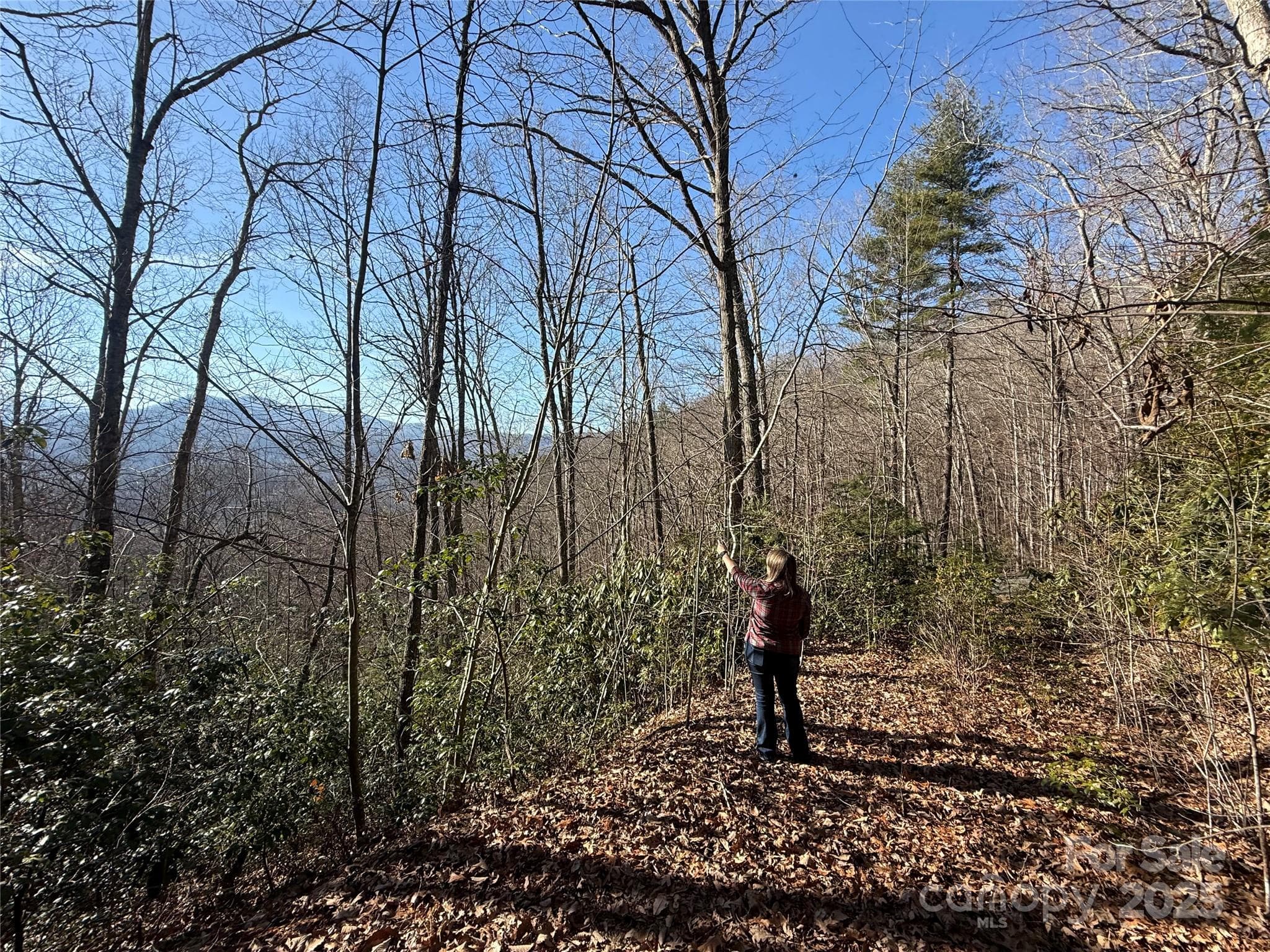 Lot at Waynesville, photo 2 of 18