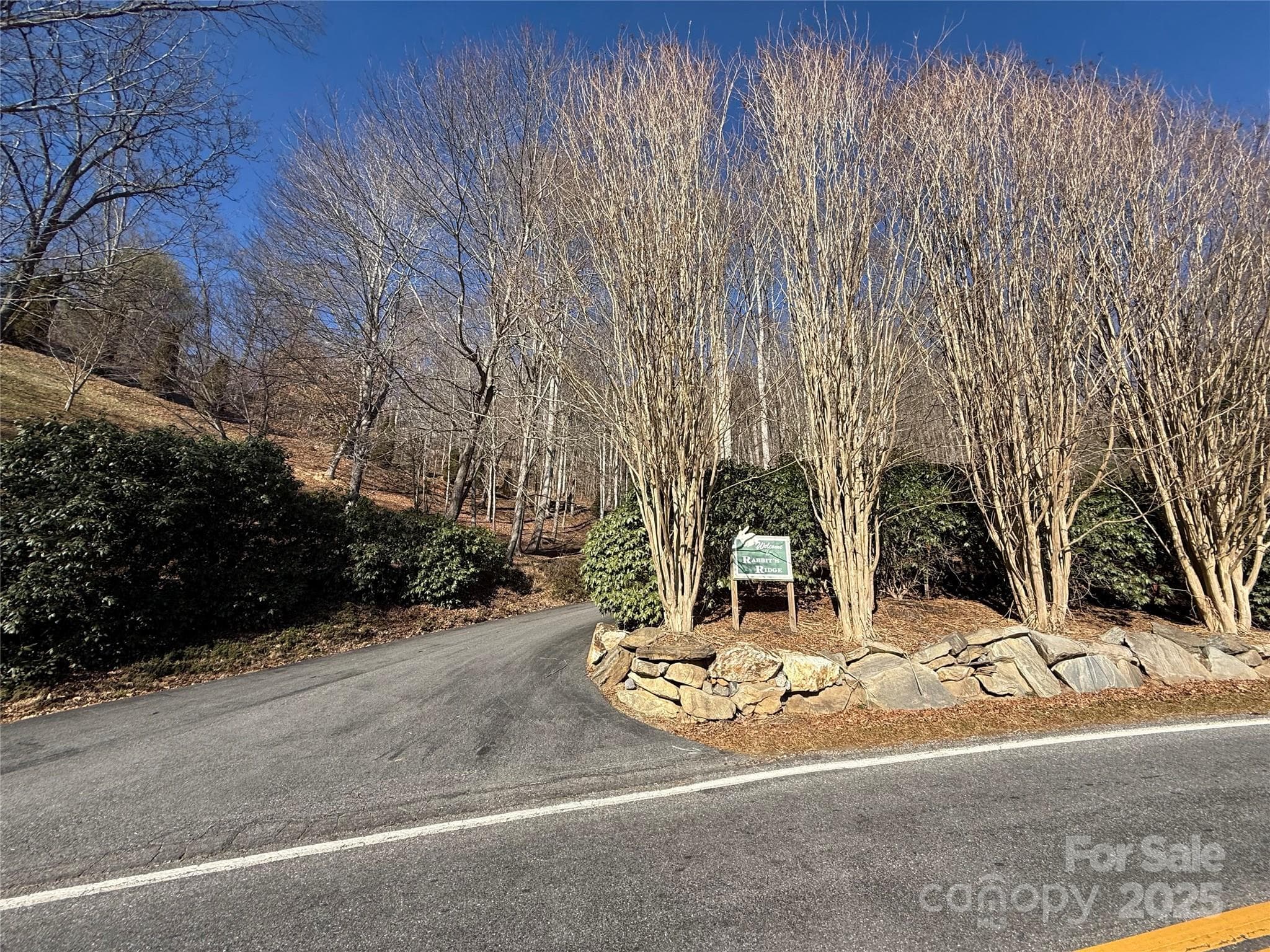 Lot at Waynesville, photo 5 of 18