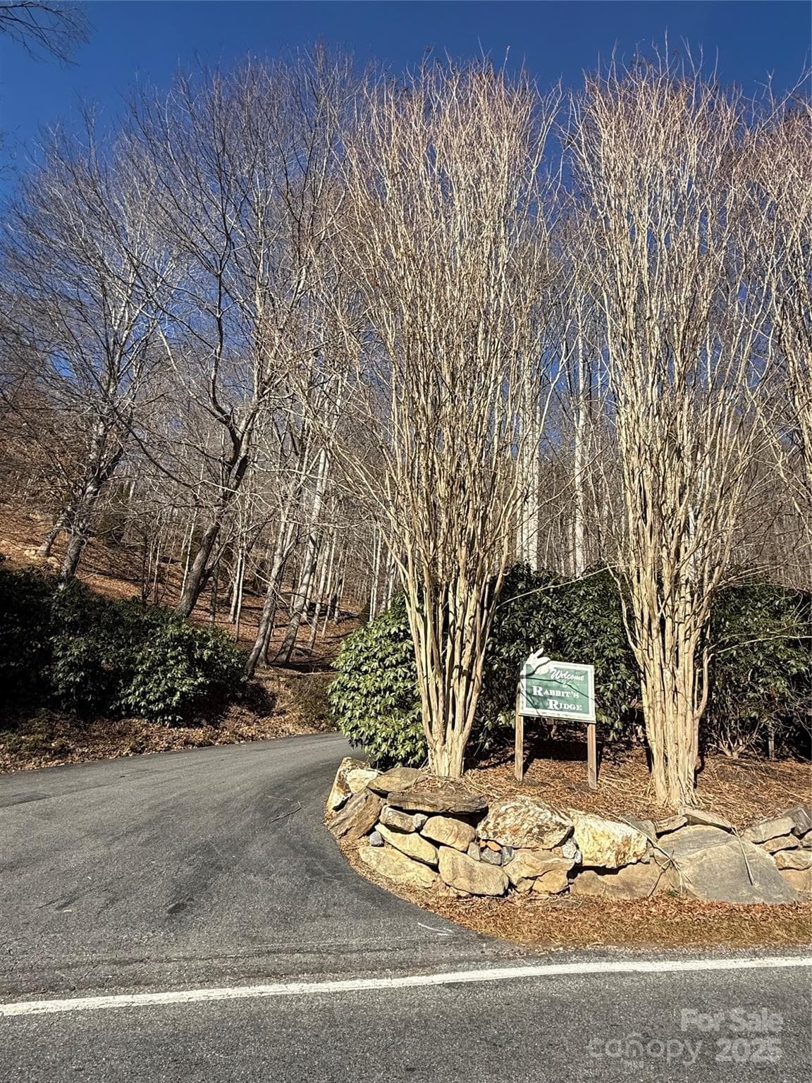 Lot at Waynesville, photo 7 of 18