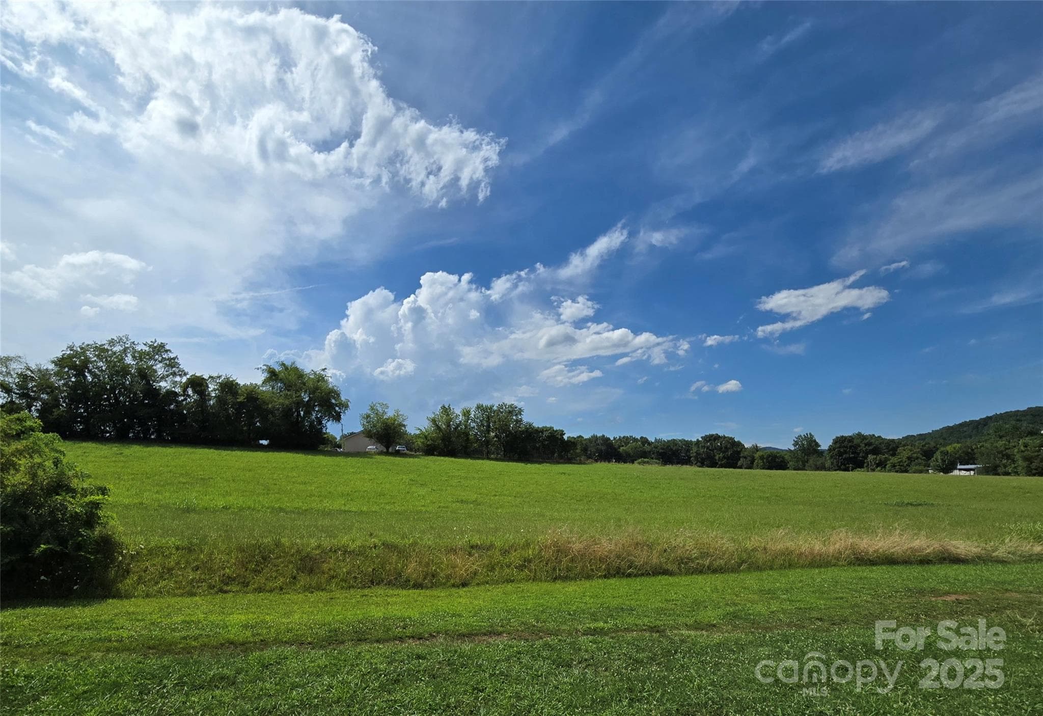 Many deer of all sizes and descriptions surround the house all the time. Watch them eating, romping, and moms nursing their young in this meadow, or simply walking through the back and side yards. - 626 Fairview Loop, Hot Springs
