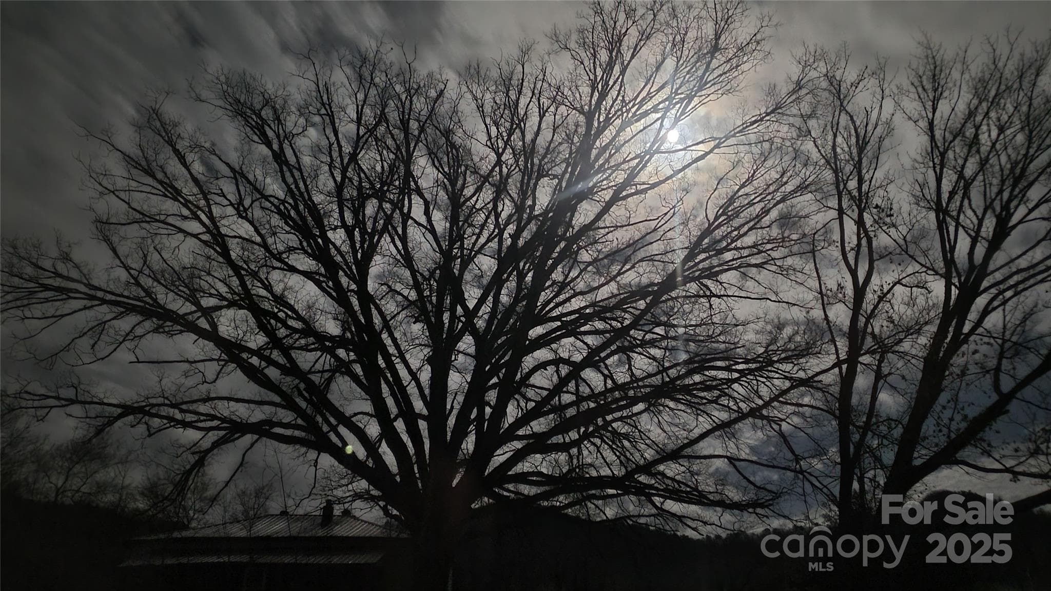 Sitting on the front porch under a full moon in late fall / winter with Bluff Mountain just to the southwest. - 626 Fairview Loop, Hot Springs