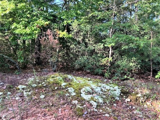 shots of lot vegetation - Lake Lure