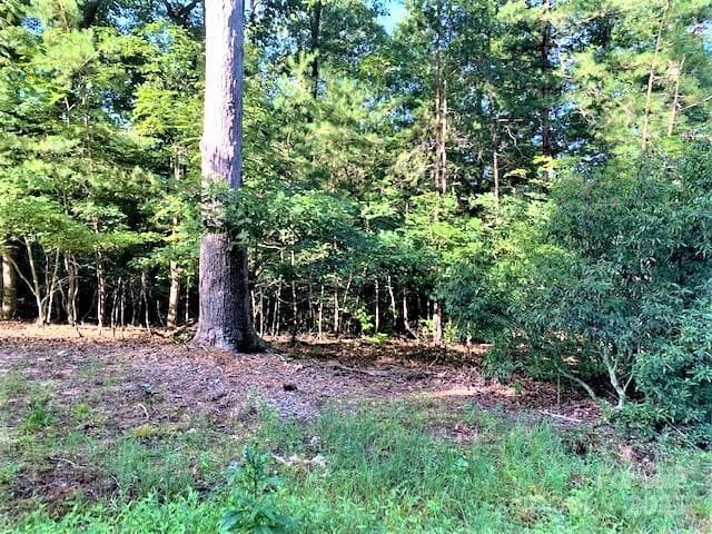 shot of lot vegetation and lay of the land - Lake Lure