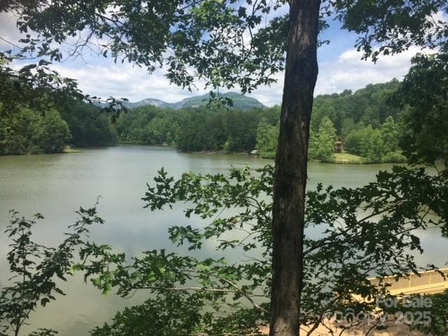 lake - Lake Lure