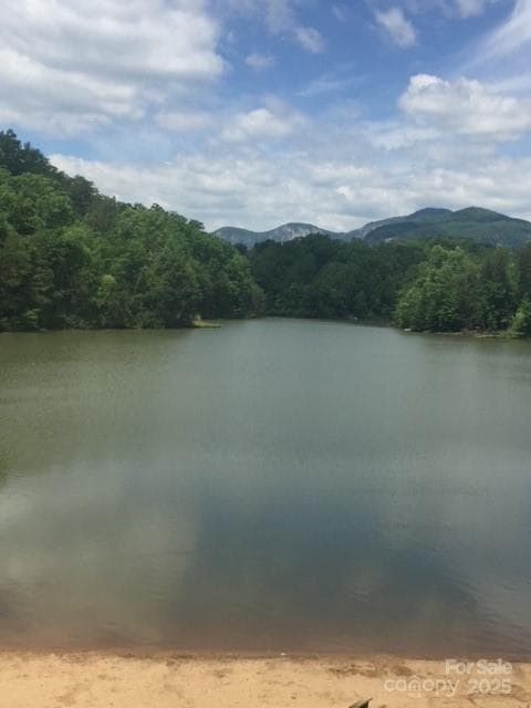 lake - Lake Lure