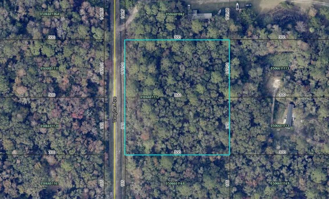 Land at 10410 VAUGHAN AVE, HASTINGS, photo 4 of 9