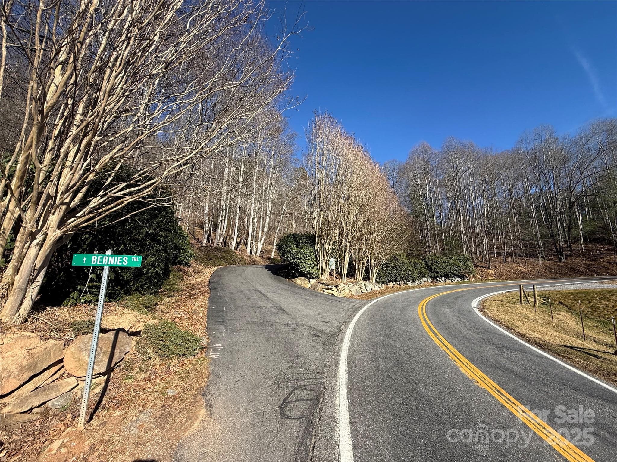 Lot at Waynesville, photo 3 of 18