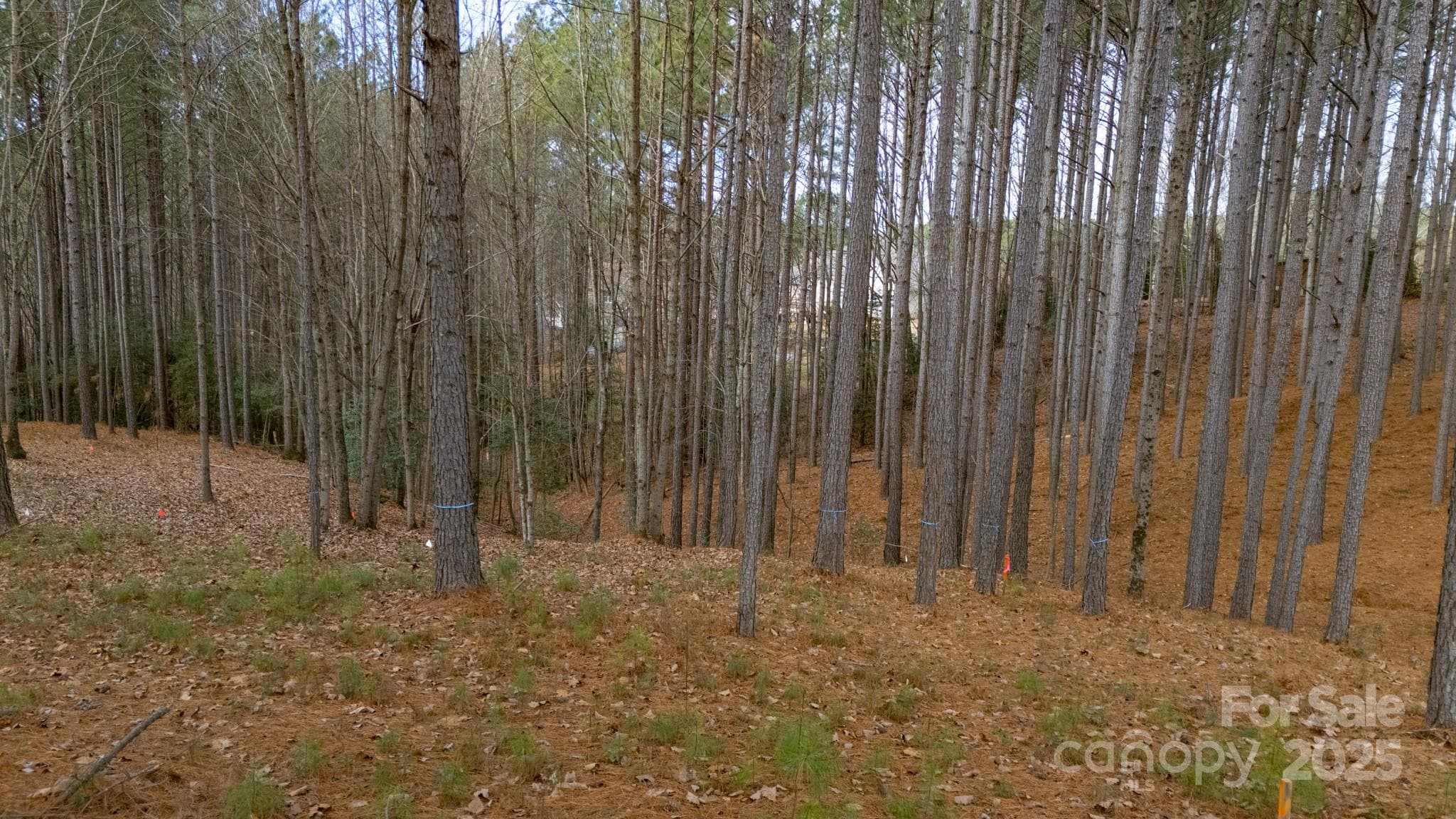 Lot at 340 Gardner Point Drive, Stony Point, photo 5 of 19