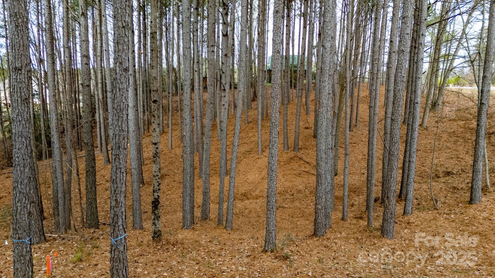 Lot at 340 Gardner Point Drive, Stony Point, photo 6 of 19