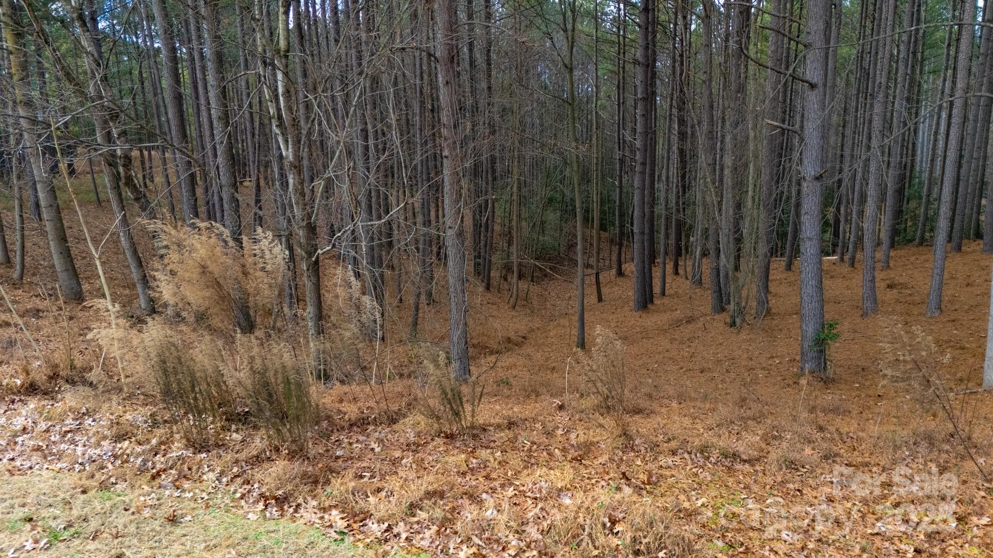 Lot at 340 Gardner Point Drive, Stony Point, photo 7 of 19