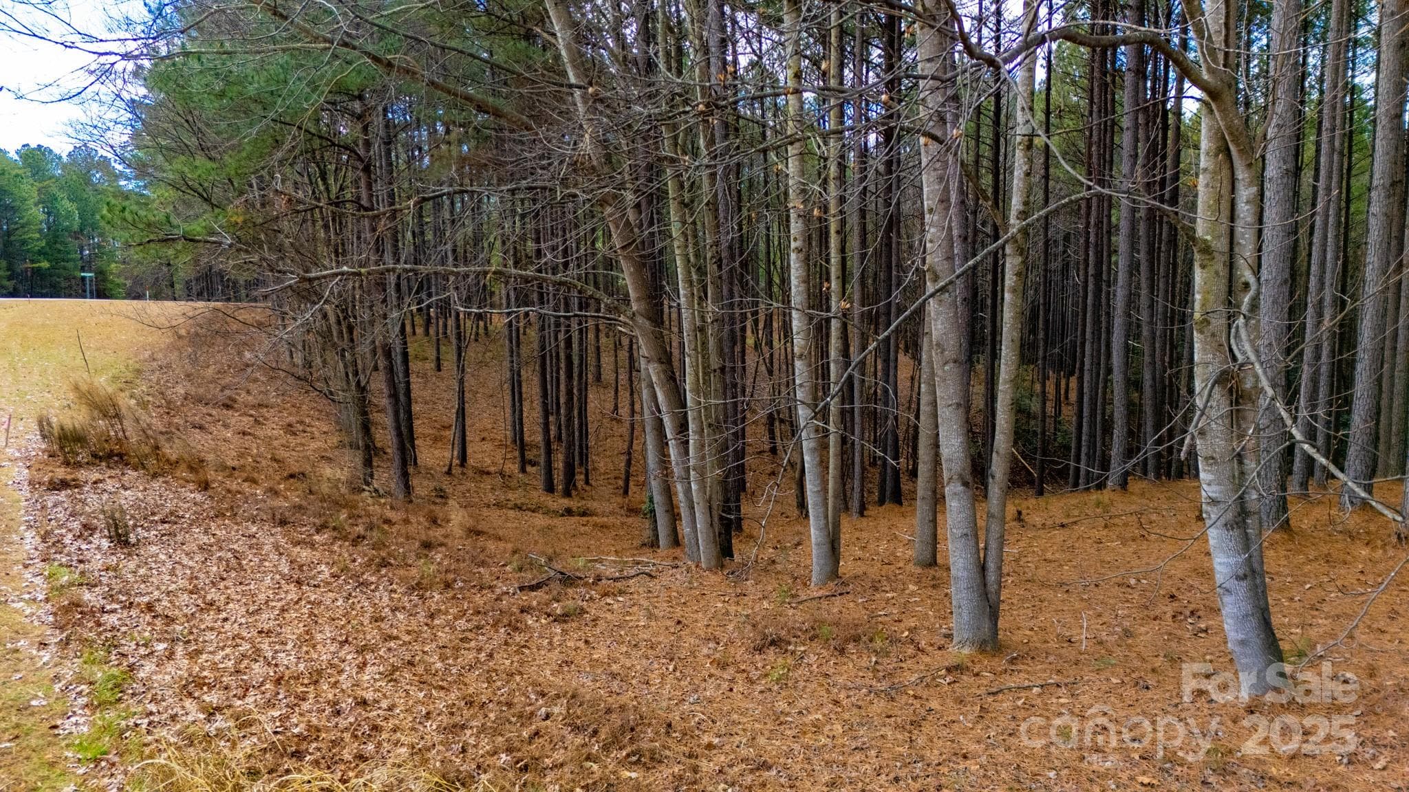 Lot at 340 Gardner Point Drive, Stony Point, photo 8 of 19
