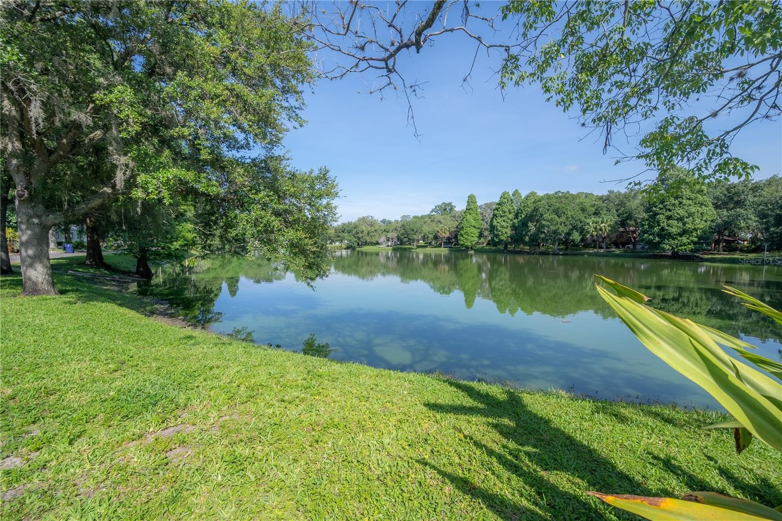 Hampton Terrace Neighborhood, Lake Roberta in Seminole Heights - 5530 N 9TH ST #3, TAMPA