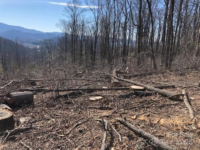 Lot at Hendersonville, photo 4 of 5