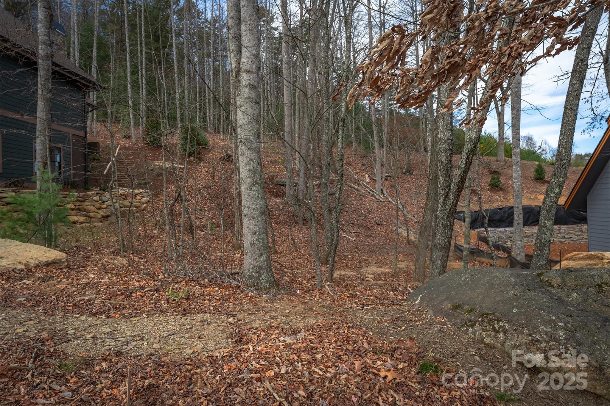 Lot at Black Mountain, photo 4 of 37