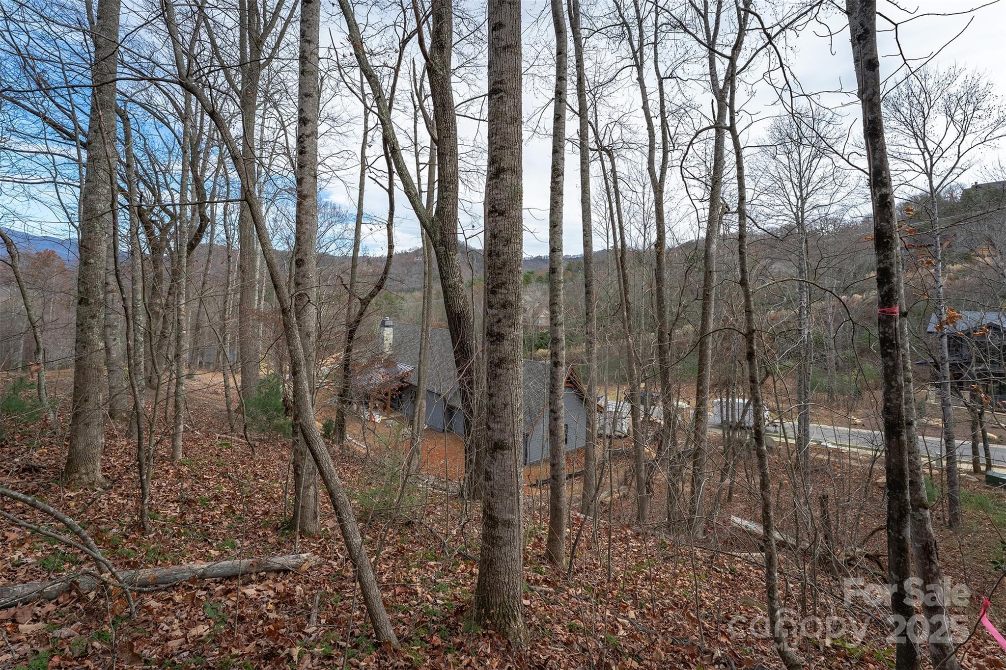 Lot at Black Mountain, photo 9 of 37