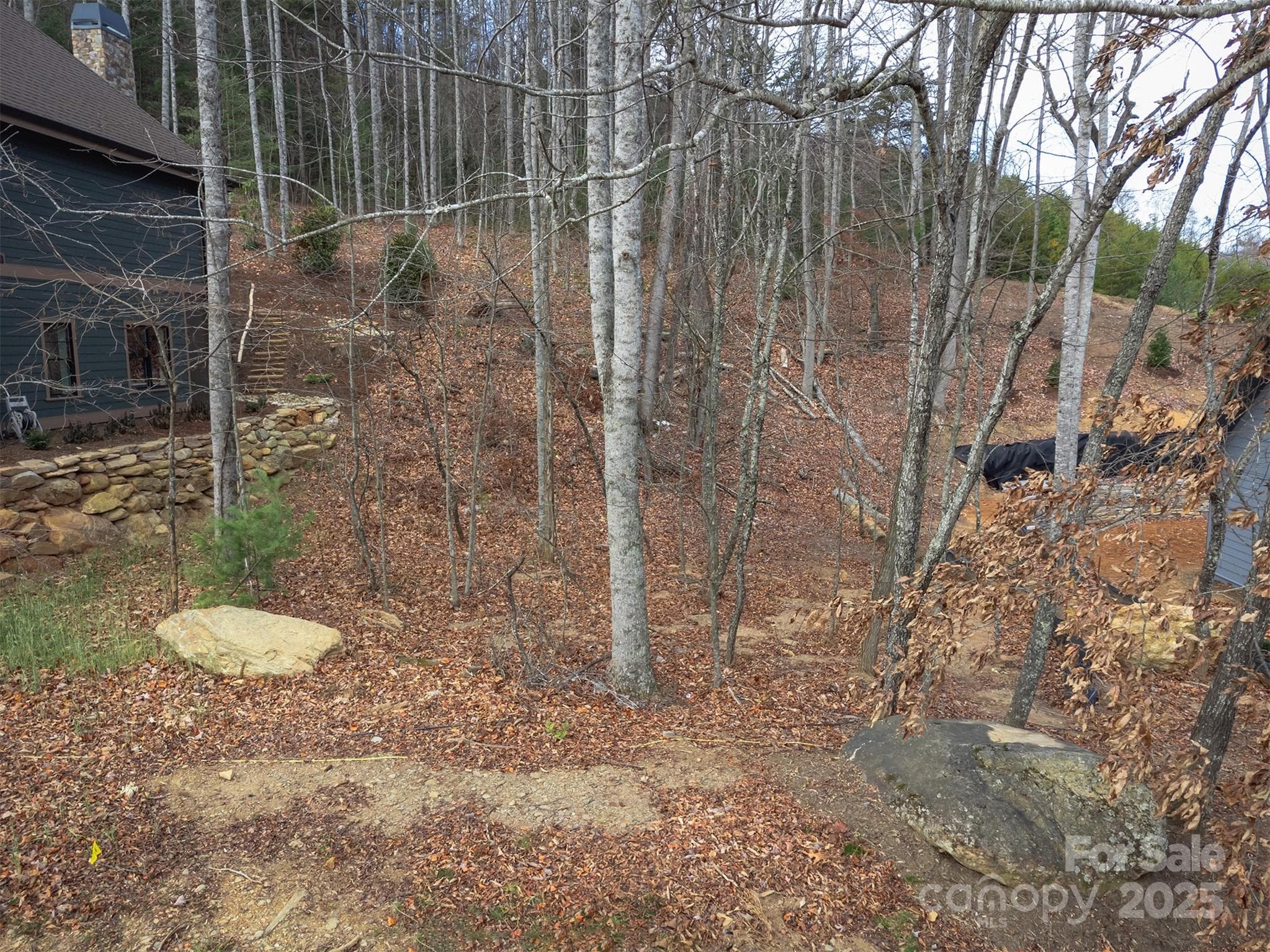 Lot at Black Mountain, photo 18 of 37