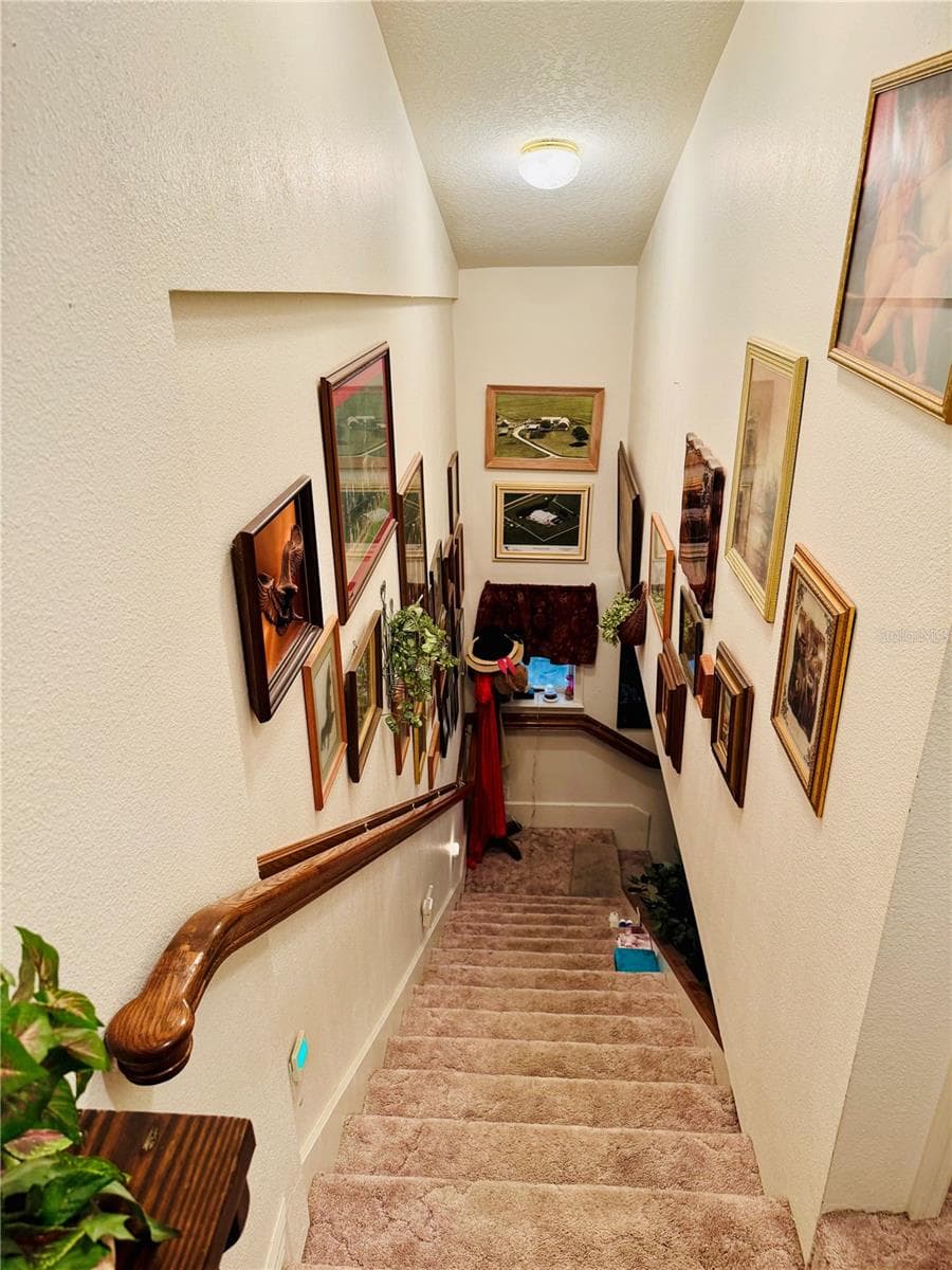 Single Family Residence at 17725 POWERLINE RD, DADE CITY, photo 32 of 48