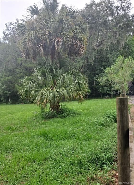 Land at 130TH ST, BELLEVIEW, photo 3 of 5