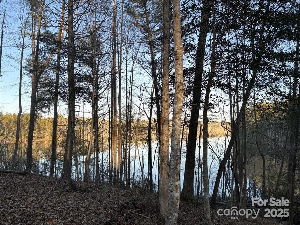 Lot at 584 E Settings Boulevard NW, Valdese, photo 5 of 22