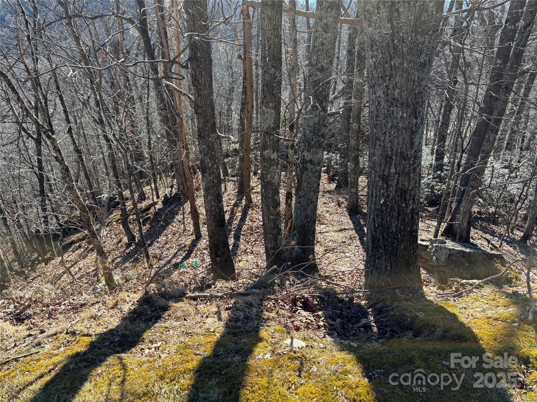 Lot at TBD State View Road, Boone, photo 2 of 9