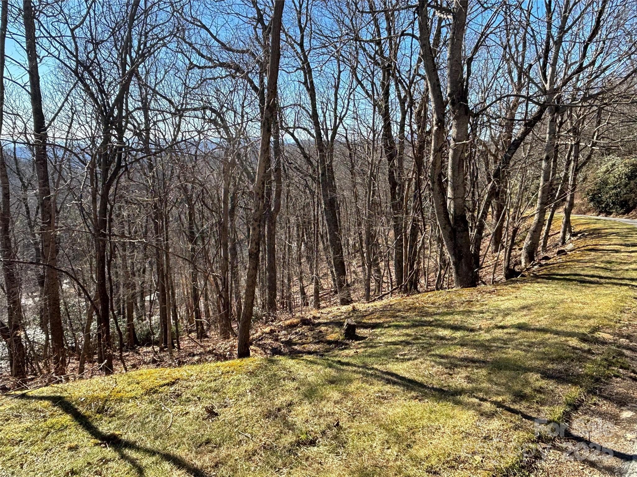 Lot at TBD State View Road, Boone, photo 3 of 9