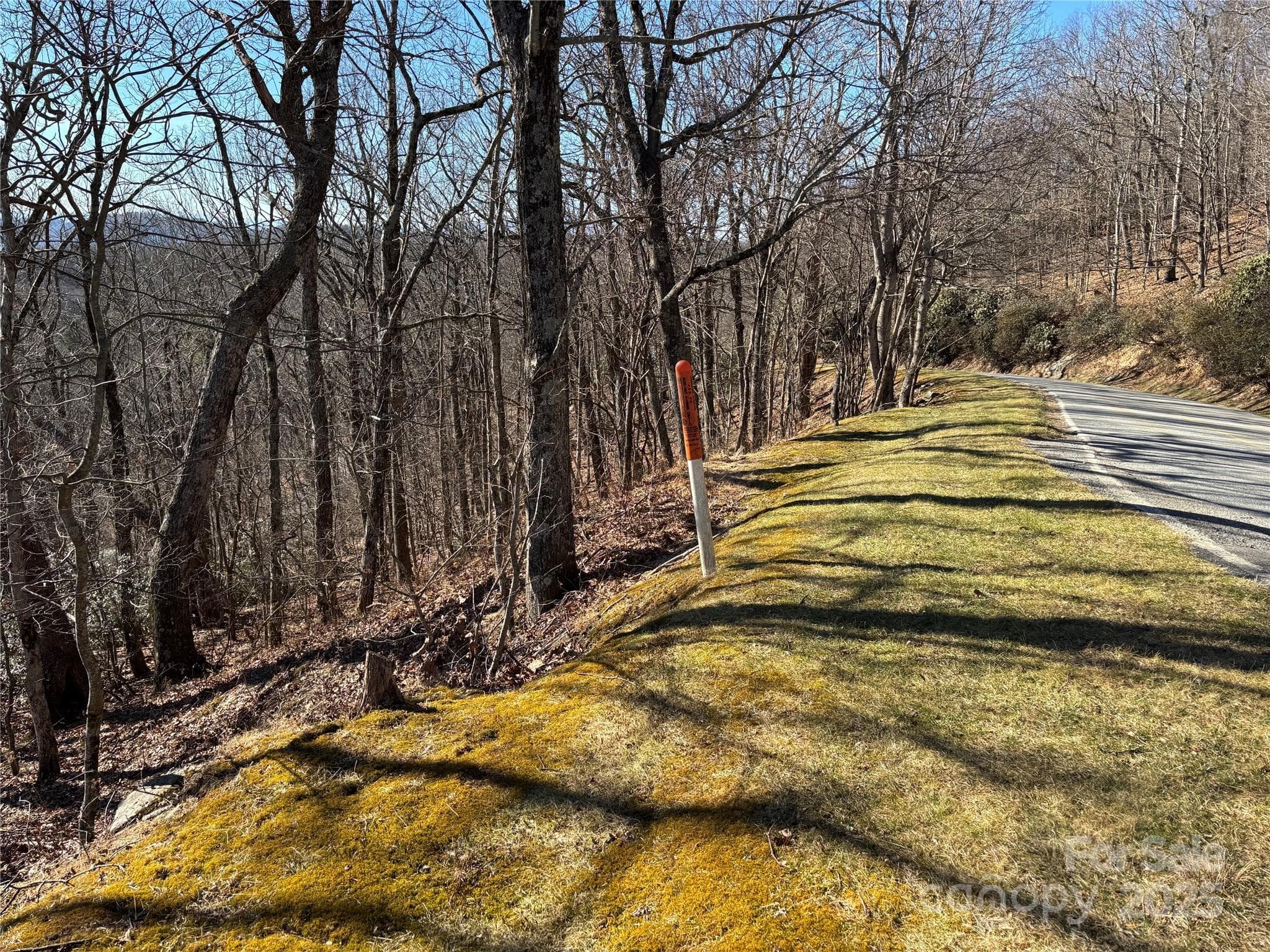 Lot at TBD State View Road, Boone, photo 4 of 9