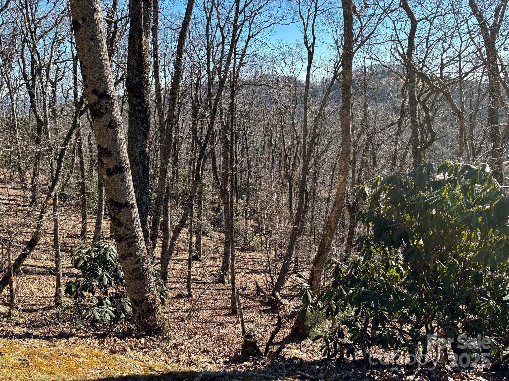 Lot at TBD State View Road, Boone, photo 6 of 9