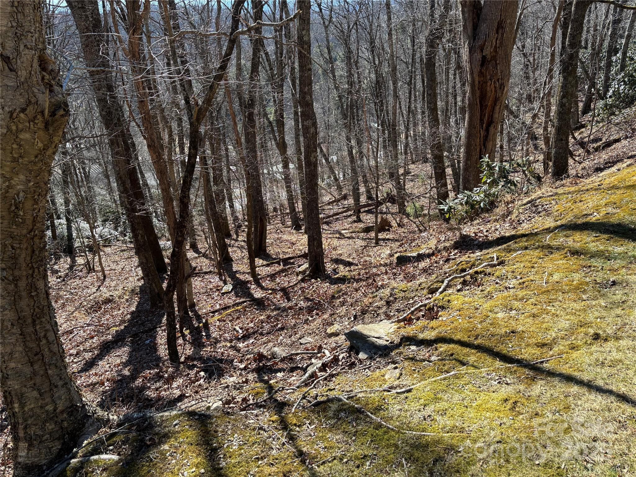 Lot at TBD State View Road, Boone, photo 7 of 9