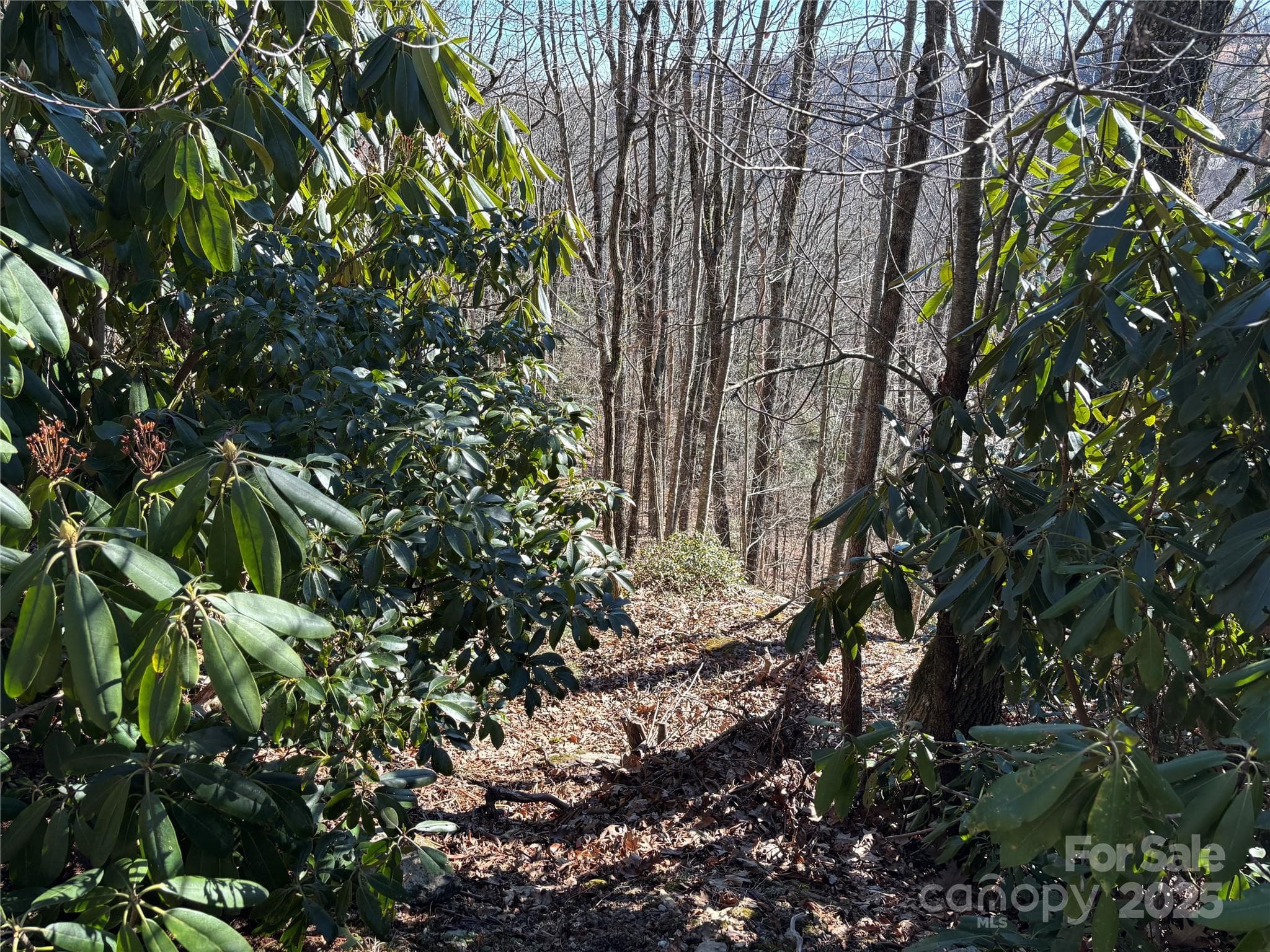 Lot at TBD State View Road, Boone, photo 8 of 9