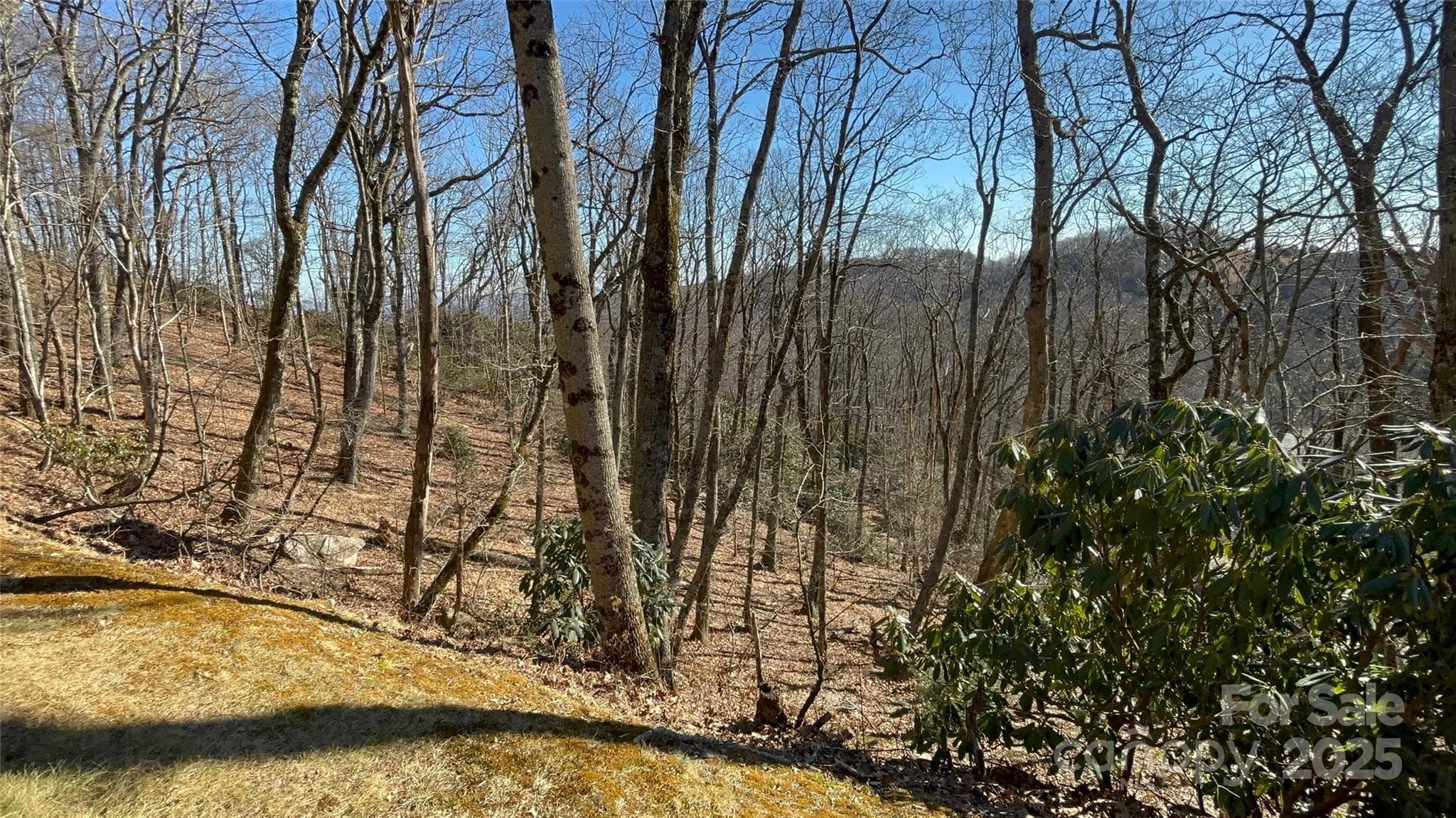 Lot at TBD State View Road, Boone, photo 9 of 9