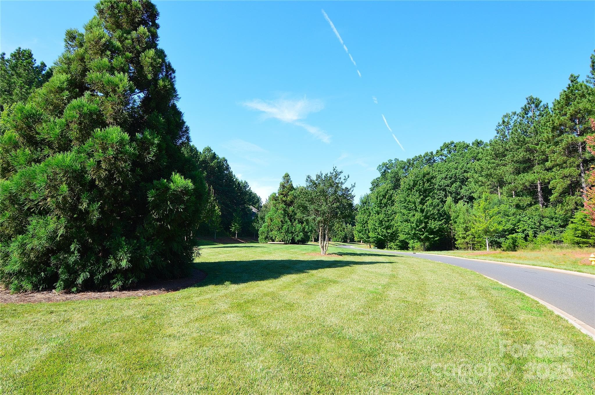 Lot at Belmont, photo 21 of 47