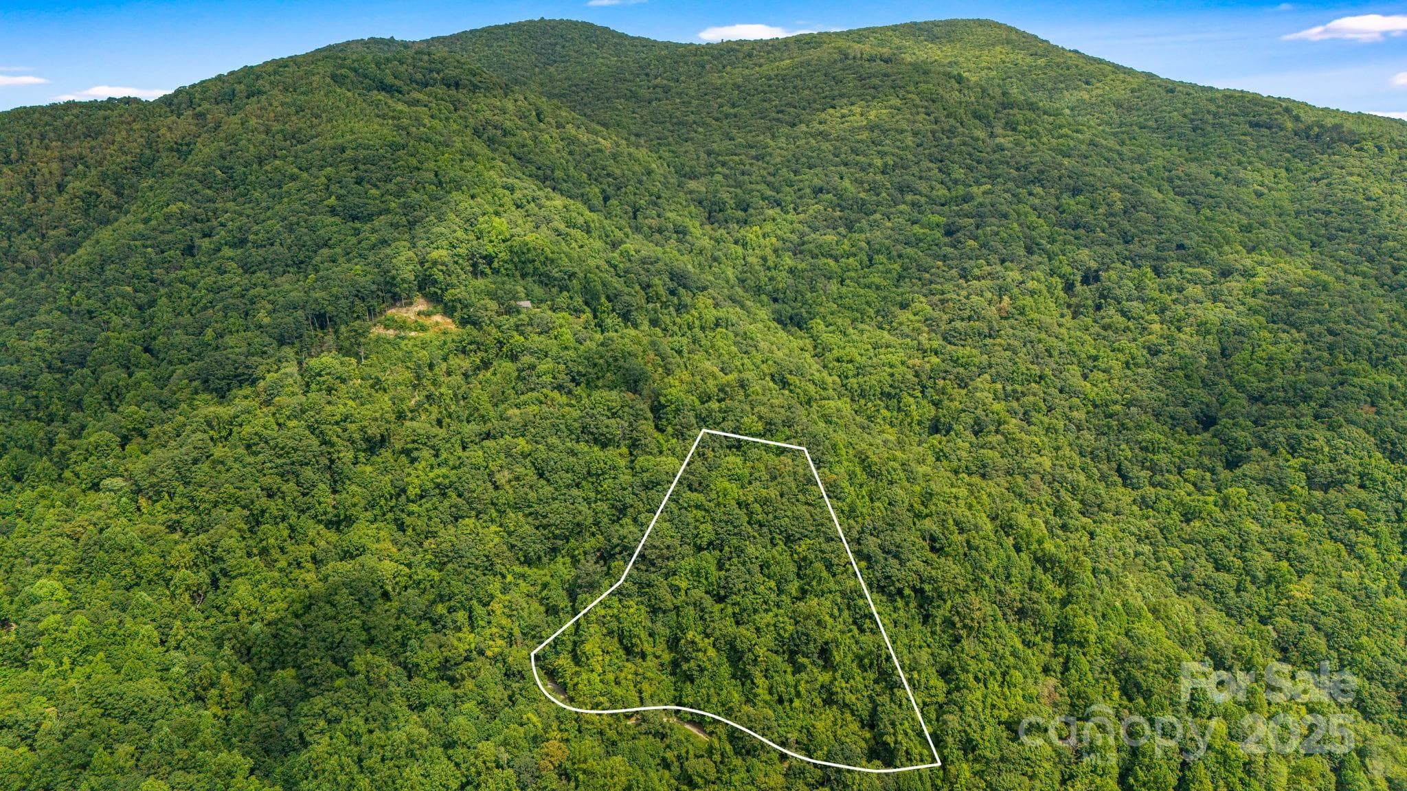 Lot at Lot 21 Cat Pen Branch Road, Hot Springs, photo 3 of 31