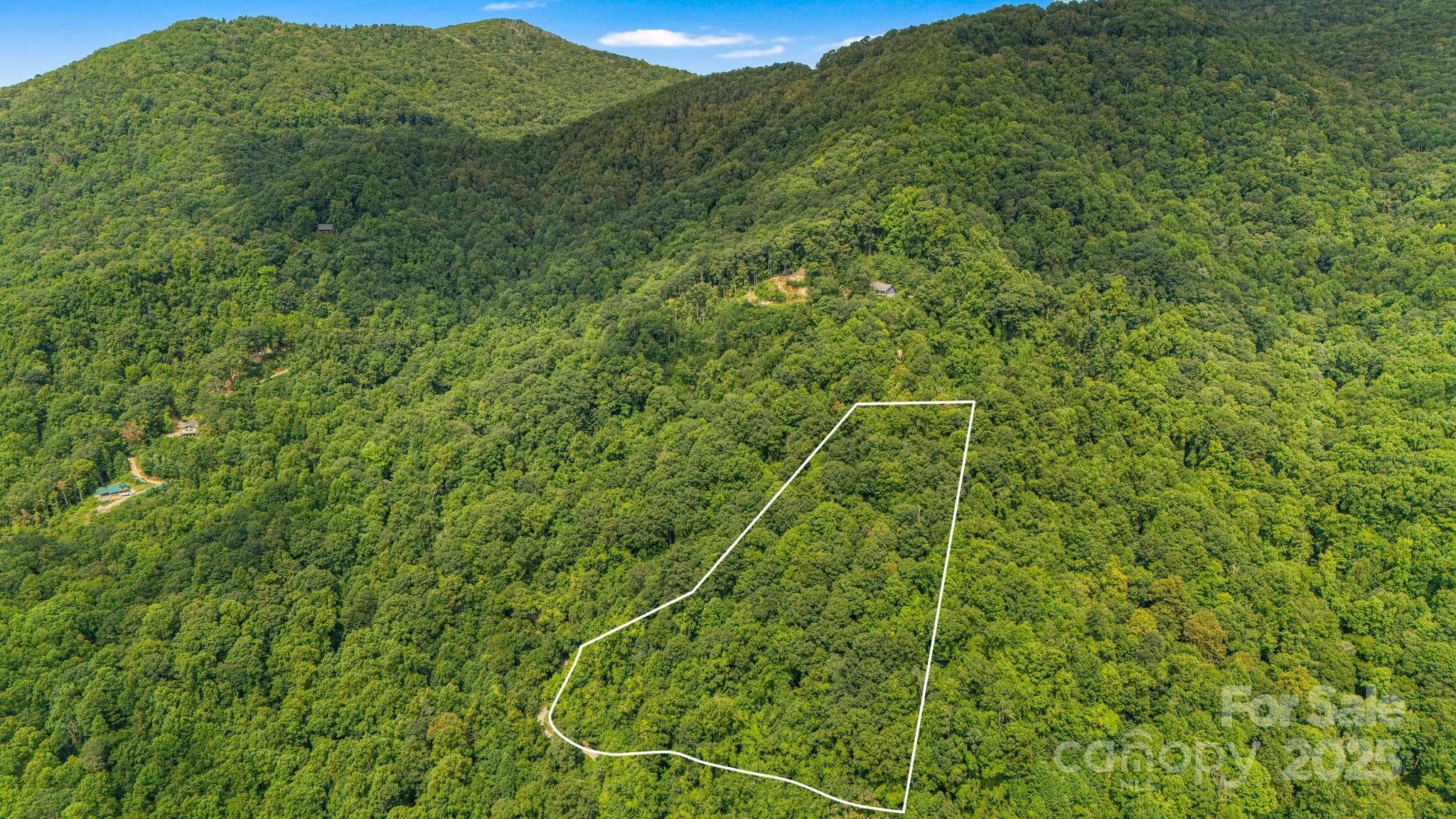 Lot at Lot 21 Cat Pen Branch Road, Hot Springs, photo 4 of 31
