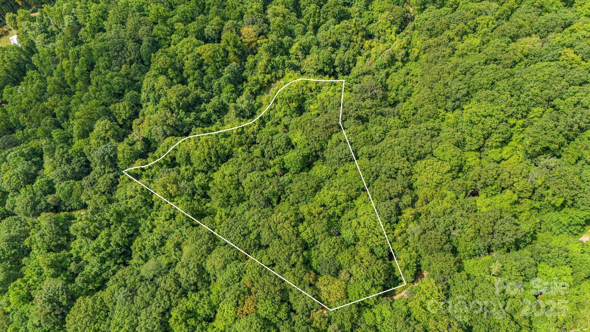 Lot at Lot 21 Cat Pen Branch Road, Hot Springs, photo 6 of 31