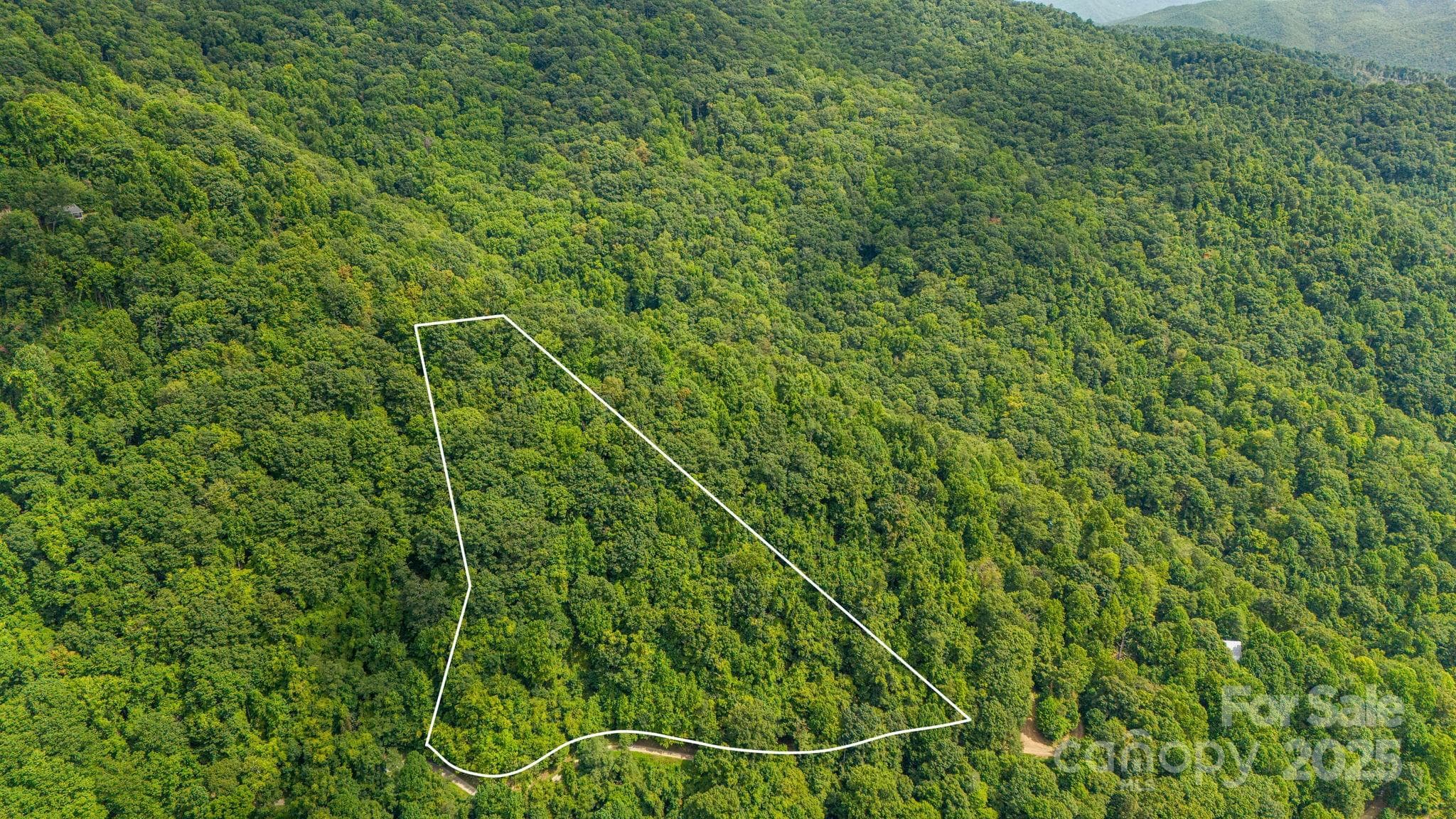 Lot at Lot 21 Cat Pen Branch Road, Hot Springs, photo 9 of 31