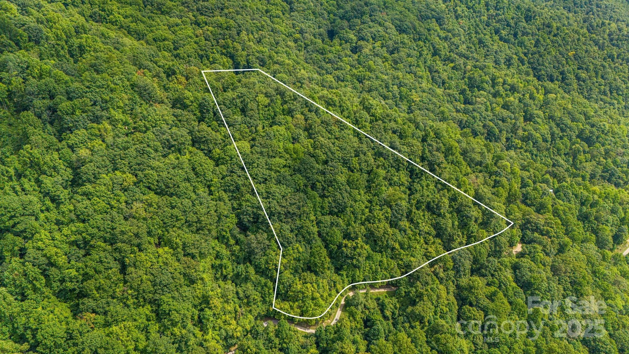 Lot at Lot 21 Cat Pen Branch Road, Hot Springs, photo 10 of 31