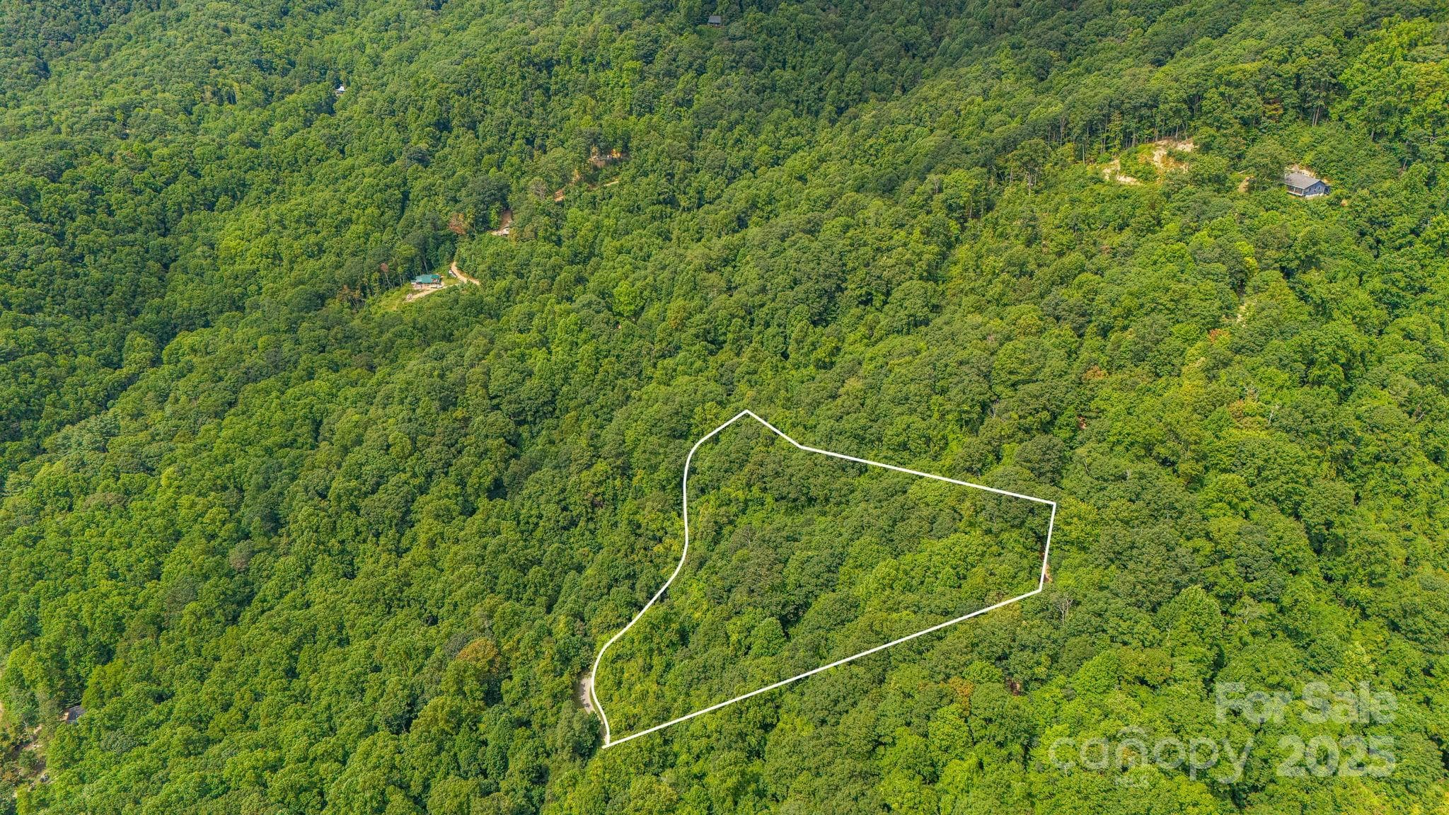 Lot at Lot 21 Cat Pen Branch Road, Hot Springs, photo 11 of 31